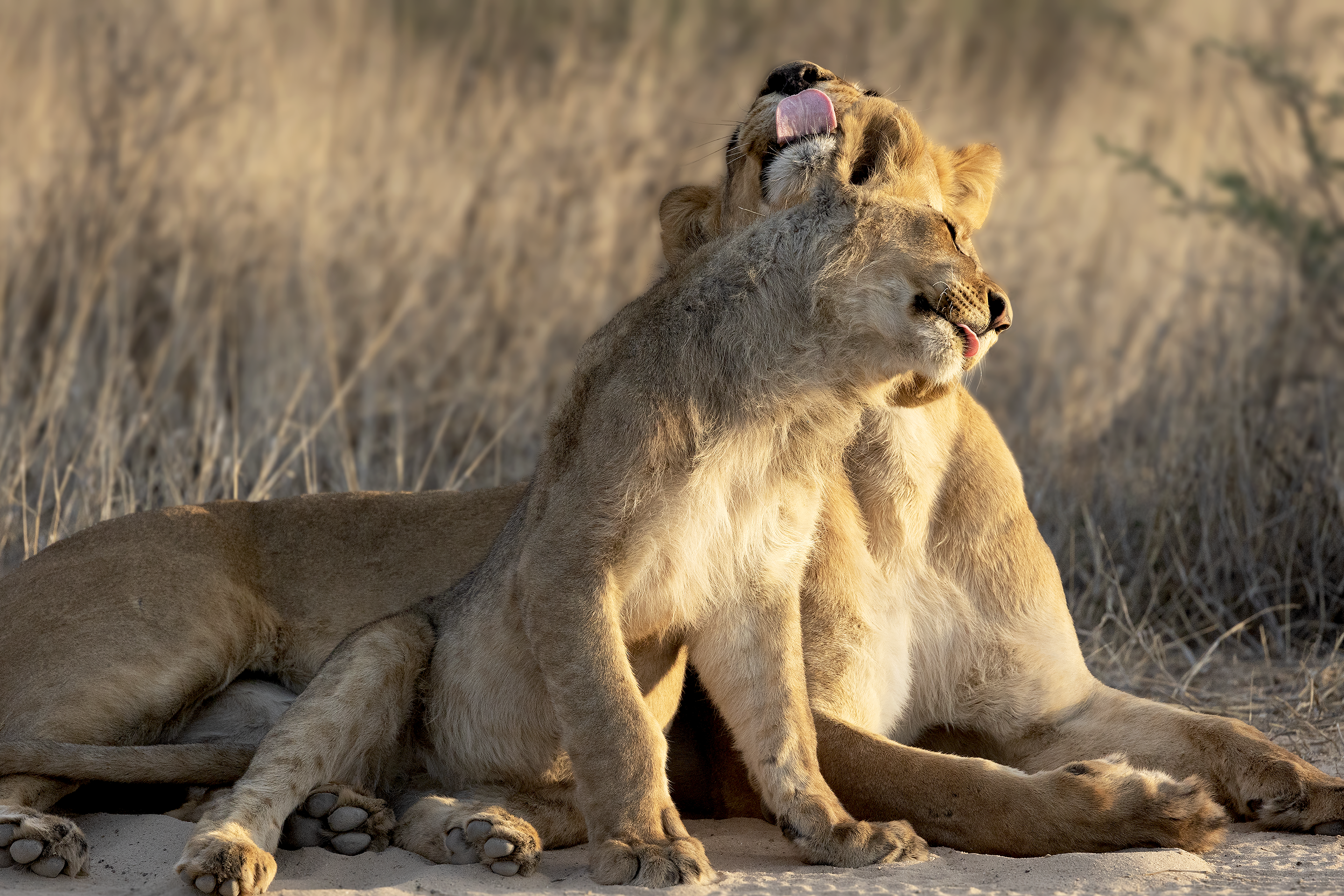 Tender Moment